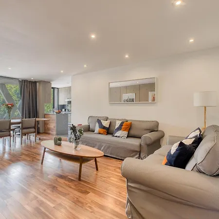 Comfortable Apartment In Condesa
